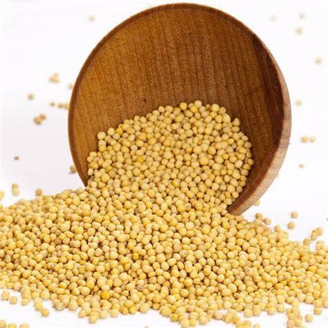 Yellow Mustard
