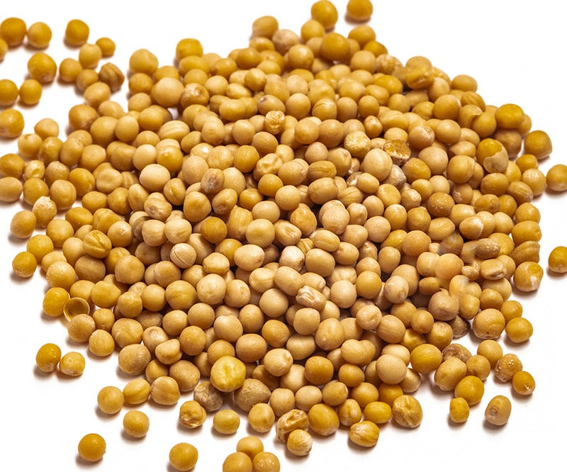 Yellow Mustard