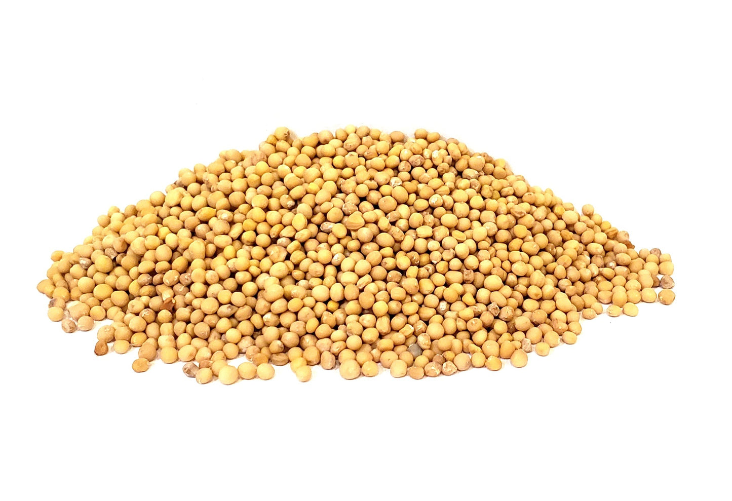 Yellow Mustard